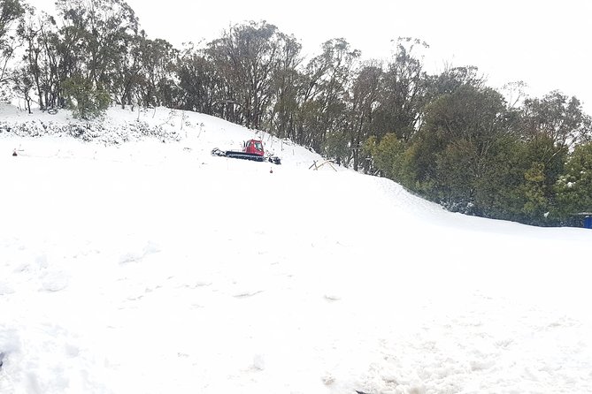 Mt Buller Day Trip from Melbourne - Who this Mt Buller trip suits best