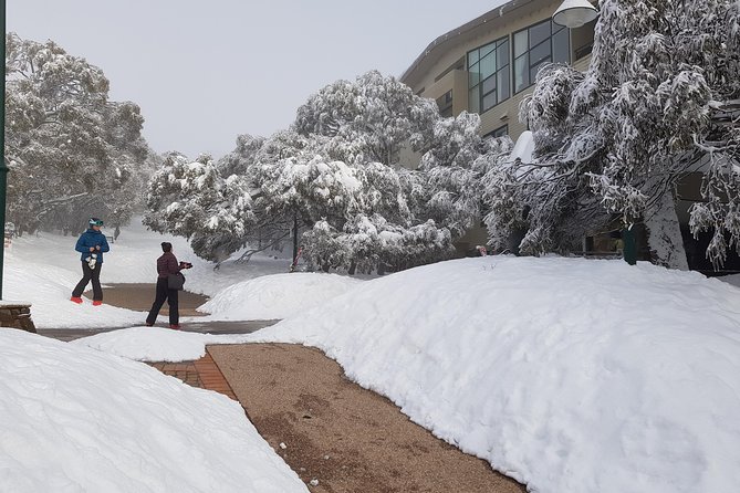 Mt Buller Day Trip from Melbourne - Tips to keep the cold-day experience smooth