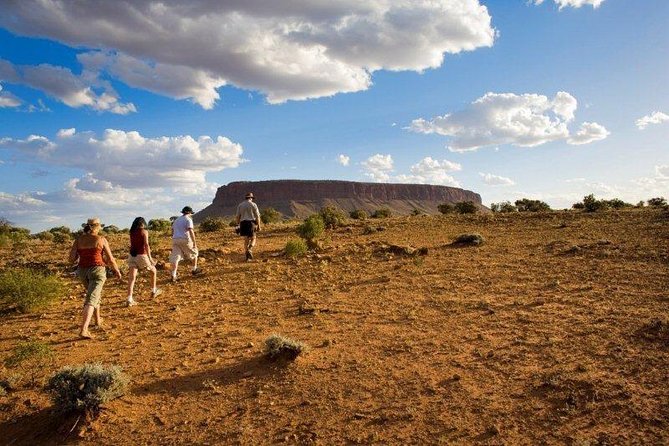 Mt Conner 4WD Small Group Tour from Ayers Rock Resort inc Dinner - Salt lakes and wildlife spotting on the way east of Uluru