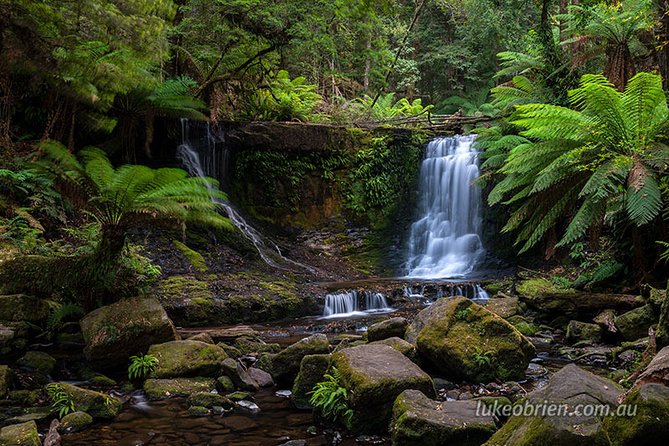 Mt Field and Styx Valley Photography Tour - Getting from Hobart: private vehicle, pickup (selected hotels), and a mobile ticket