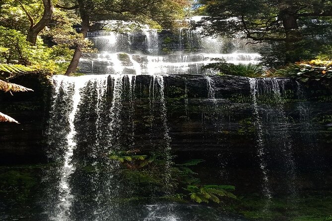 Mt Field National Park and Russell Falls from Hobart - Key things to know before you go