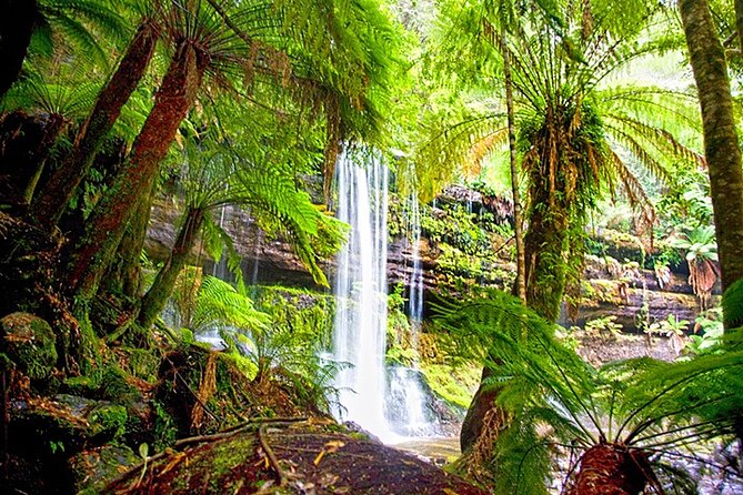 Mt Field National Park and Russell Falls from Hobart - Small-group comfort with a 7-hour rhythm
