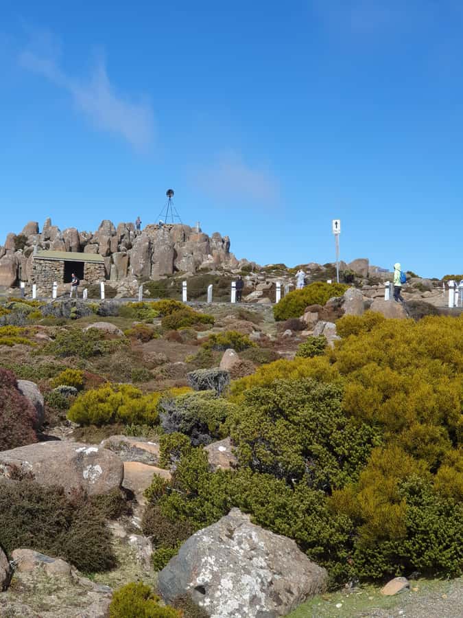Mt Wellington Afternoon Small Group Driving Tour - Scenic Drive to the Summit: Free Time Means You Control the Photos
