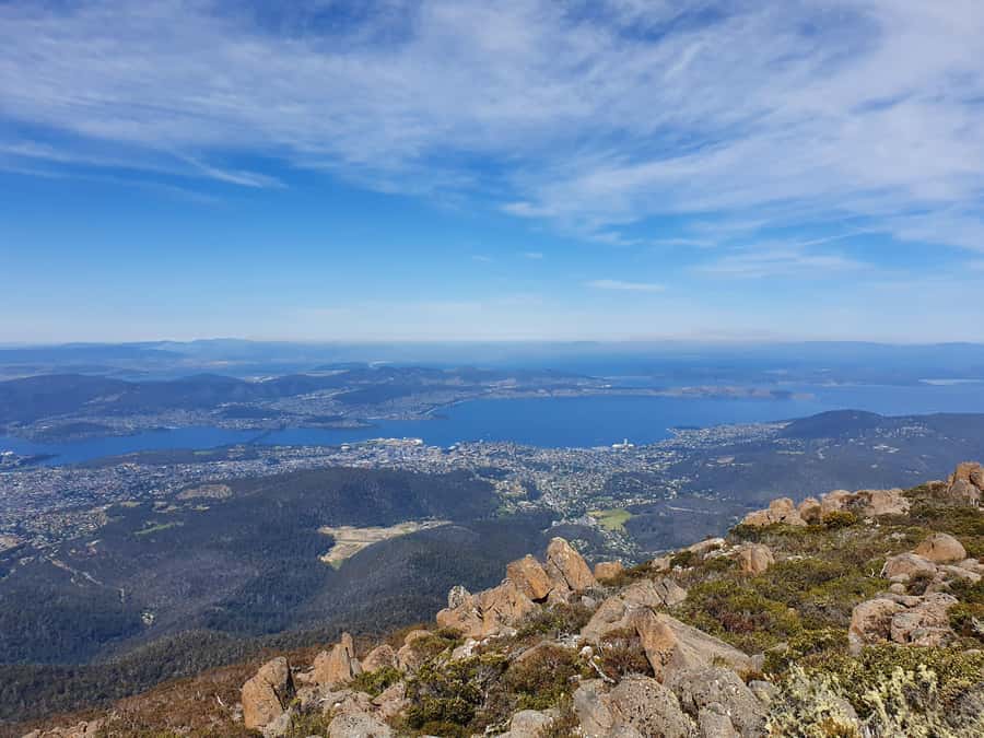 Mt Wellington Afternoon Small Group Driving Tour - Female Factory and the Hobart Rivulet: History Meets Nature