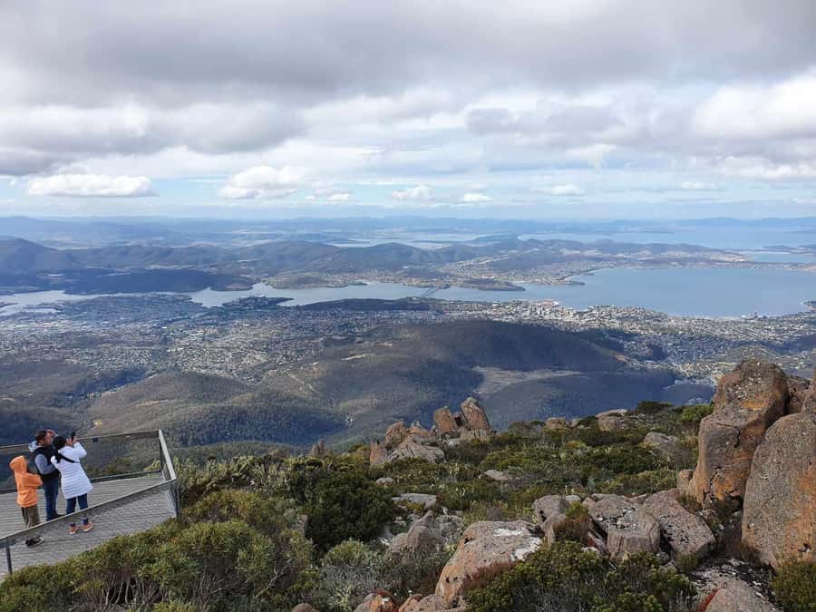 Mt Wellington Afternoon Small Group Driving Tour - Meeting at 20 Davey Street and Rolling Through Historic Hobart