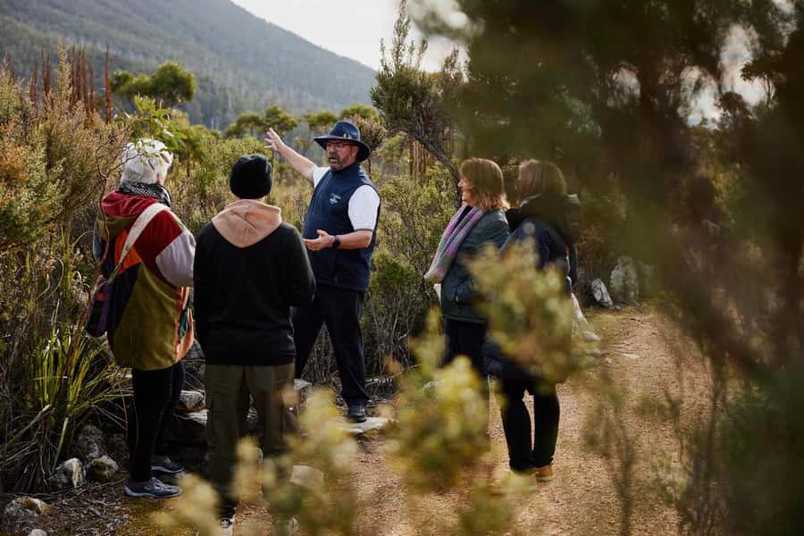 Mt Wellington Ultimate Afternoon Tour - Key things that make this tour work