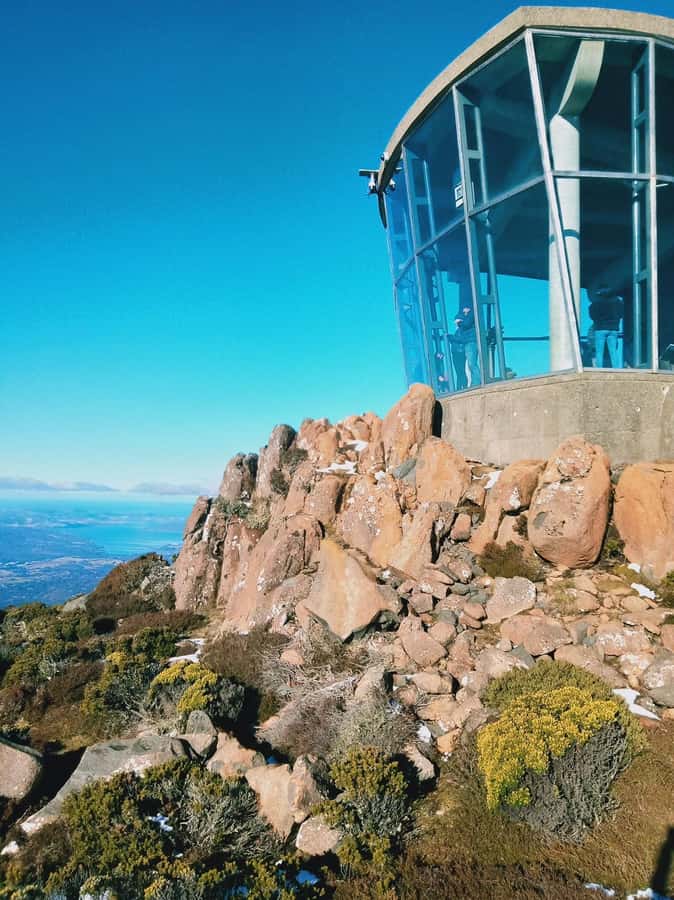 Mt Wellington Ultimate Afternoon Tour - When the weather hides the top: what you can still get