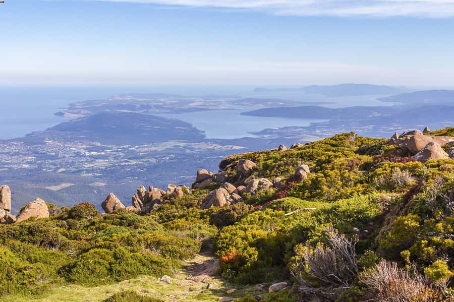 Mt Wellington: Ultimate Experience from Hobart - Exhibition Garden Circuit: Alpine Air Without the Big Commitment