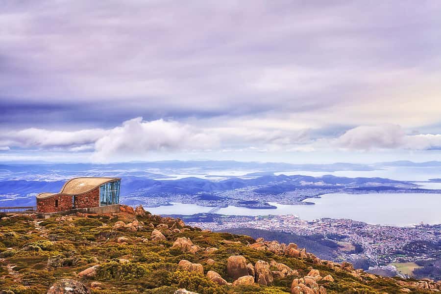 Mt Wellington: Ultimate Experience from Hobart - Guides, Humor, and the Small-Group Feeling