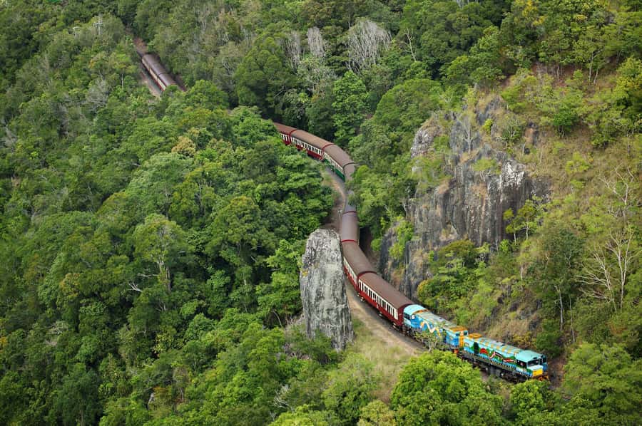 N. Queensland: Kuranda Rainforest Full-Day Tour - Kuranda Scenic Railway: Sea Views and a Proper Ride Back