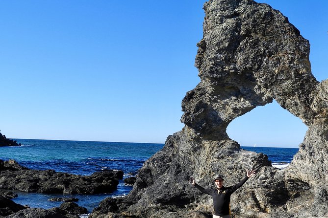 Narooma and Tilba Valley Private Tour - Bar Rock Lookout and Australia Rock: fur seals up close, no boat required