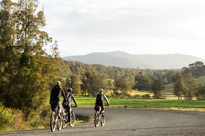 Narooma - E-Bike Hire 2 Hour Rental - Price and value: is $35.86 per person a fair deal?