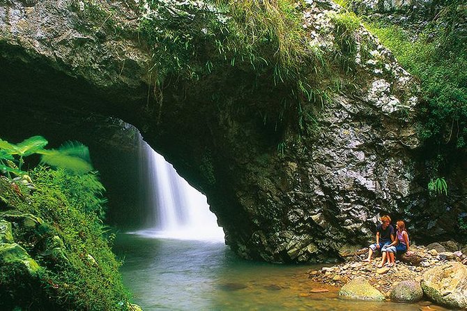 Natural Bridge Glow Worm Night Tour from Gold Coast - Stargazing in the Gold Coast hinterland: the sky moment