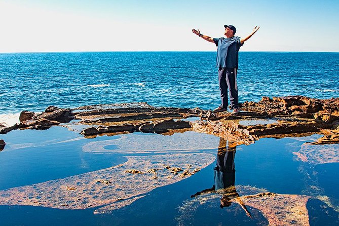 Nature and Wildlife: Australia in One Day - Private Tour - Mount White and Saddles Restaurant: a short scenic break
