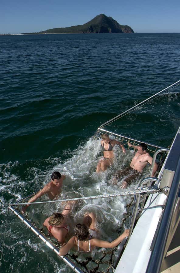 Nelson Bay: Dolphin Watch Cruise and Sail - Pricing and Value: What $35 Gets You