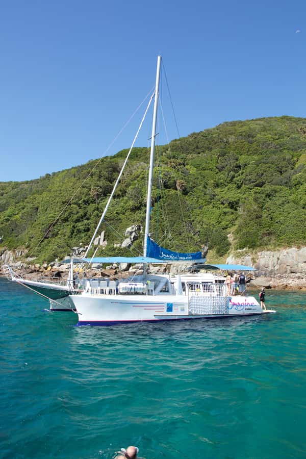 Nelson Bay: Marine Discovery Cruise with Snorkeling - Key things you’ll notice on this Port Stephens cruise