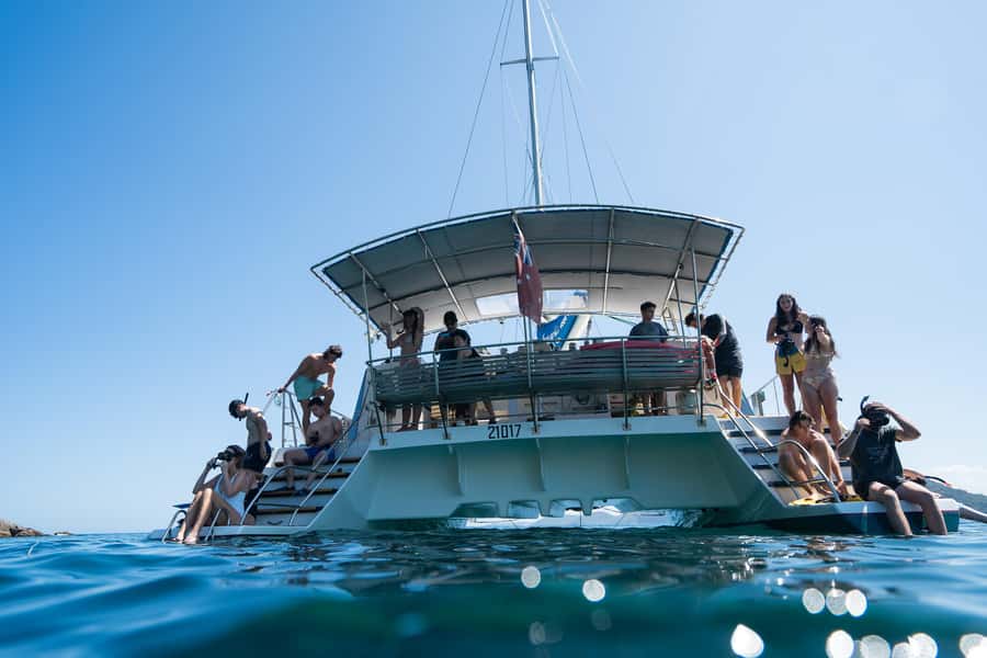 Nelson Bay: Marine Discovery Cruise with Snorkeling - A marine day that actually feels like a day at sea