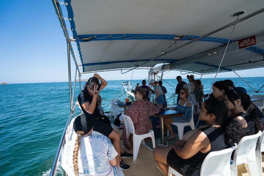 Nelson Bay: Marine Discovery Cruise with Snorkeling - Nelson Bay cruising: where dolphins fit naturally into your trip