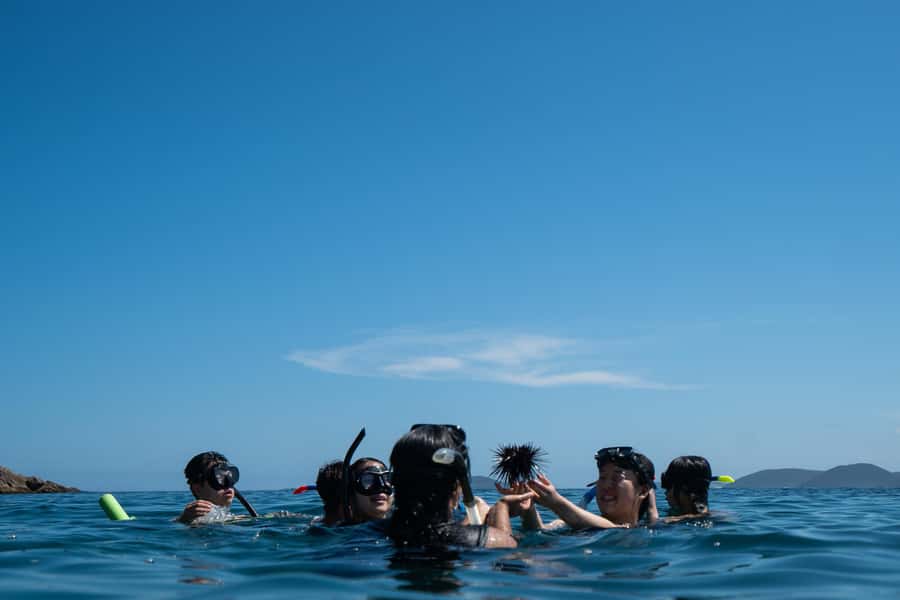 Nelson Bay: Marine Discovery Cruise with Snorkeling - Price and value: why $77 can make sense