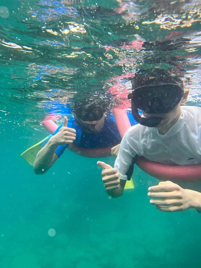Nelson Bay: Marine Discovery Cruise with Snorkeling - The “Imagine” catamaran: space, shade, and views for everyone