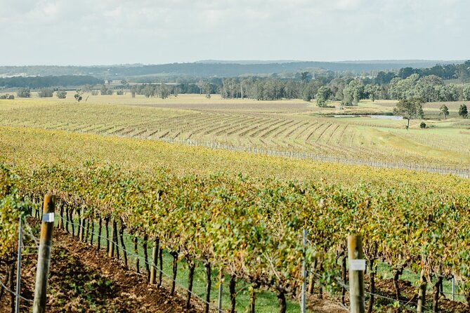 Newcastle: Boutique Hunter Valley Wine Tour - Stop 2: Small Mouth Vodka and the gin-vodka break