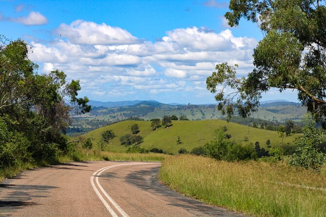 Newcastle: Country Towns River & Farm Tour with BBQ - The BBQ Lunch: Why It’s More Than Just Food
