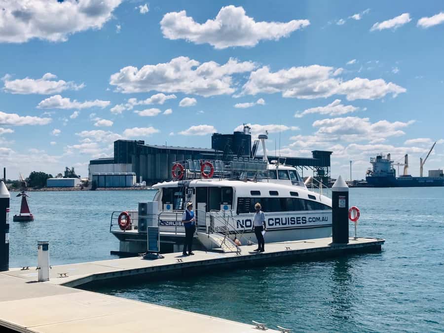 Newcastle: Humpback Whale Watching Cruise and Harbor Tour - Who This Tour Is Best For (and Who Should Skip It)