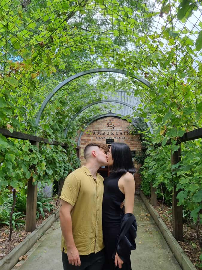 Newcastle: Hunter Valley Wine, Gin, Cheese & Chocolate Tour - Key Things I’d Bet You’ll Enjoy