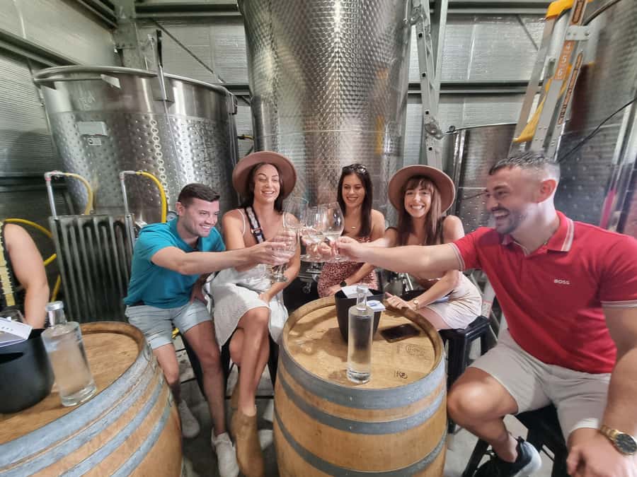 Newcastle: Hunter Valley Wine, Gin, Cheese & Chocolate Tour - Stop 2: Spirits Time With Local Gin and Vodka