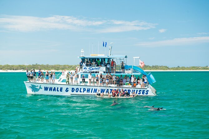 Newcastle: Port Stephens day tour - Dolphins, hike & swim! - Key things to know before you go
