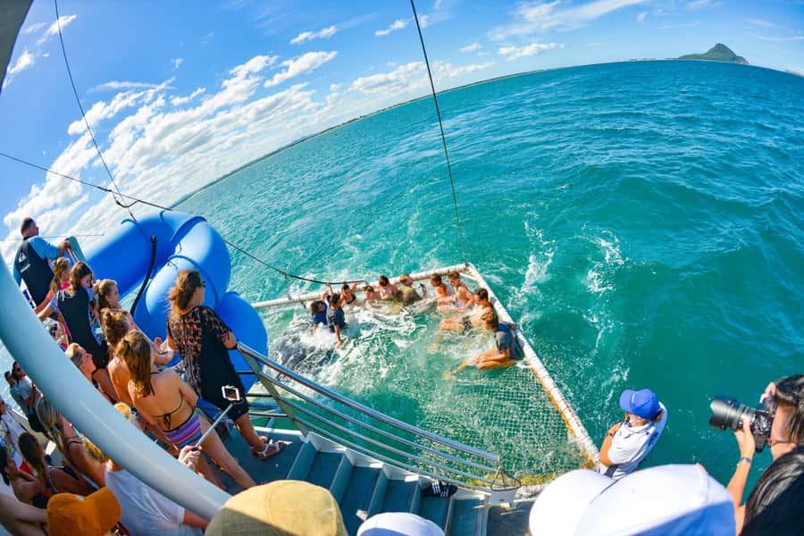 Newcastle: Port Stephens day tour. Dolphins, hike, swim. - Who should book this Port Stephens day tour?