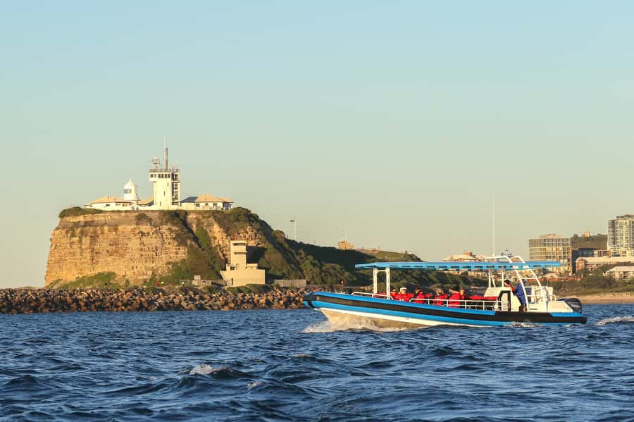 Newcastle: Small Group Humpback Whale Encounter Tour - What You’ll Actually Do During the 2-Hour Cruise
