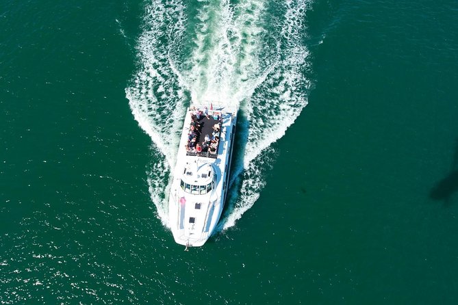 Newcastle Whale Watching Cruise - The NOVA Cruises setup from Newcastle that makes whale time easier
