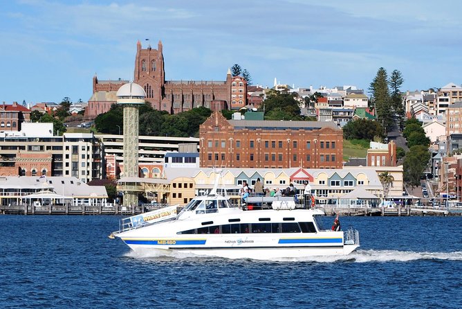 Newcastle Whale Watching Cruise - 2.5 to 3 hours on the water: what you’re really signing up for