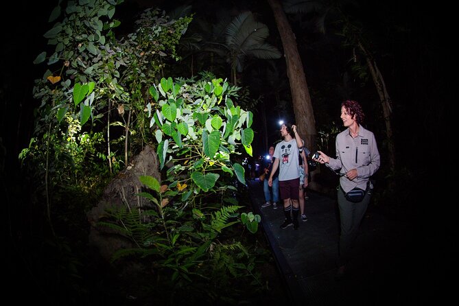 Night Walk in Cairns Botanic Gardens - Let's Go Buggin - Macro photography help: where beginners get unstuck
