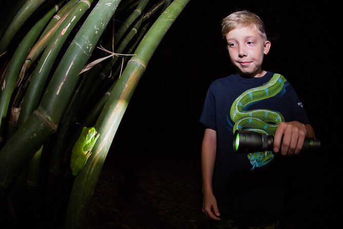 Night Walk in Cairns Botanic Gardens - Let's Go Buggin - Camera hire: the smart choice if you don’t own a macro lens