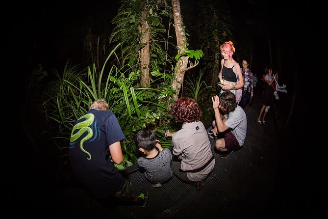 Night Walk in Cairns Botanic Gardens - Let's Go Buggin - The one-stop itinerary: Cairns Botanic Gardens, handled like a shoot