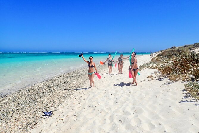 Ningaloo In A Full day Hike and Snorkel Tour - Quick Reasons This Tour Works