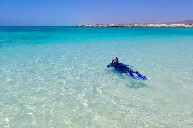 Ningaloo In A Full day Hike and Snorkel Tour - Ningaloo in One Day: Reef, Range, and a Guide Who Keeps It Moving