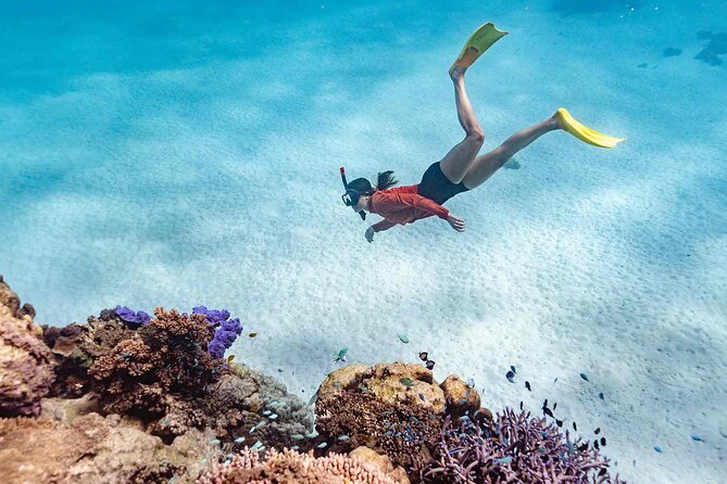 Ningaloo Reef Snorkel Adventure - Shore-based snorkeling at Ningaloo: why this format works