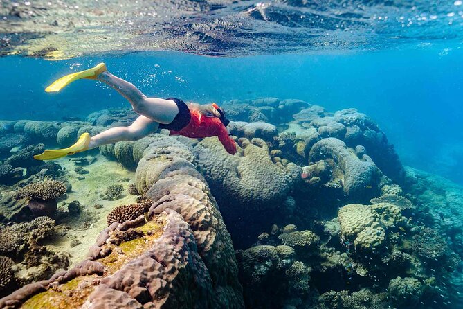 Ningaloo Reef Snorkel Adventure - What you eat and when: morning tea and a real beach picnic