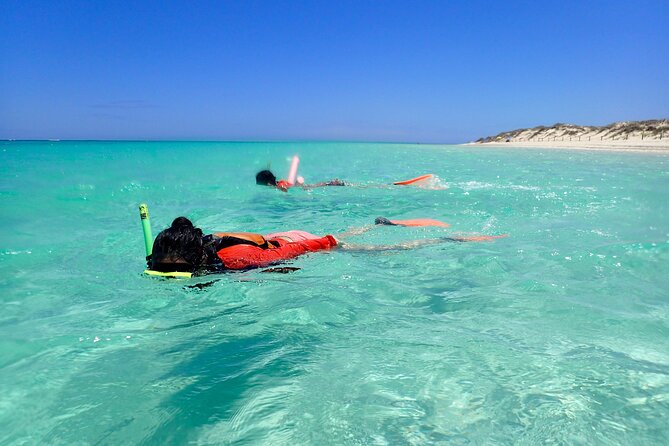 Ningaloo Reef Snorkel Adventure - Included gear and the comfort details that matter