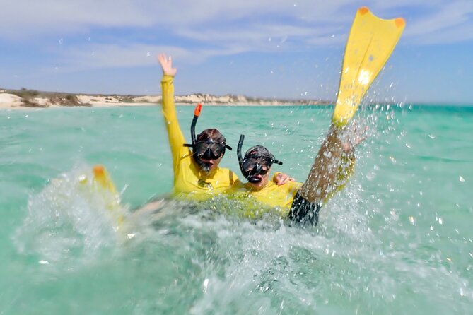 Ningaloo Reef Snorkel Adventure - What to bring: sunscreen, towel, and smart hydration