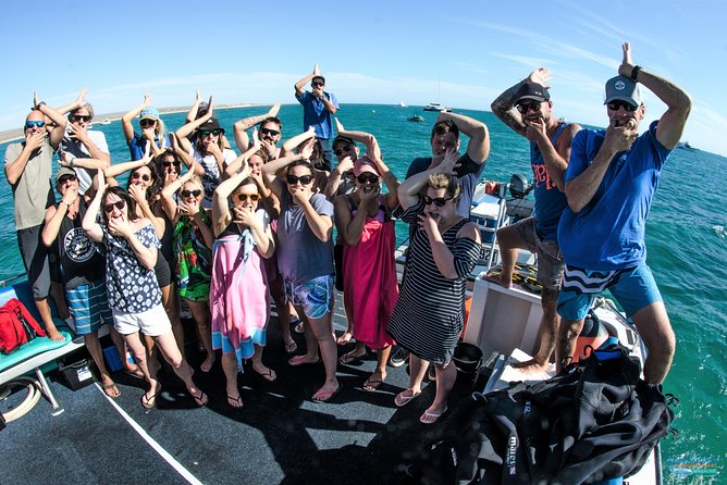 Ningaloo Reef Snorkel Adventure - Wildlife you might spot—and how to look like you mean it