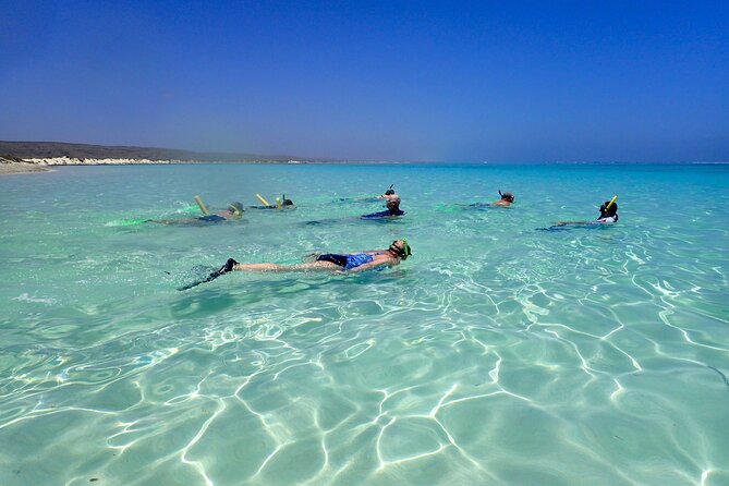 Ningaloo Reef Snorkel Adventure - Turquoise Bay: your first snorkel session from the beach
