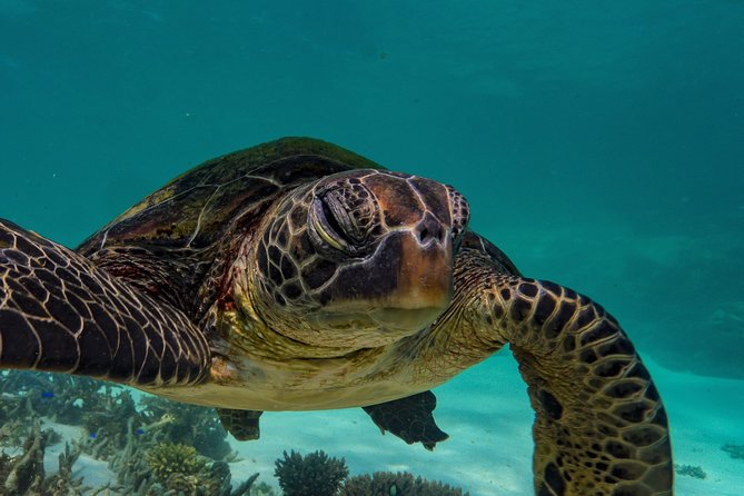 Ningaloo Reef Snorkel and Wildlife Adventure - Gear, Wetsuits, and What to Bring So You Don’t Sweat the Small Stuff