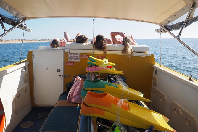 Ningaloo Reef Snorkel and Wildlife Adventure - Safety and Weather: Why the Tour Can End Earlier (and Still Be Worth It)