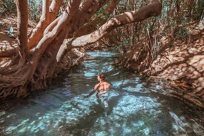 Nitmiluk National Park & Katherine Hot Springs - Full Day Tour - Who Should Book This Nitmiluk And Katherine Hot Springs Tour?