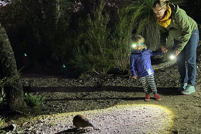 Nocturnal Wildlife Tour from Busselton - Key things to know before you go