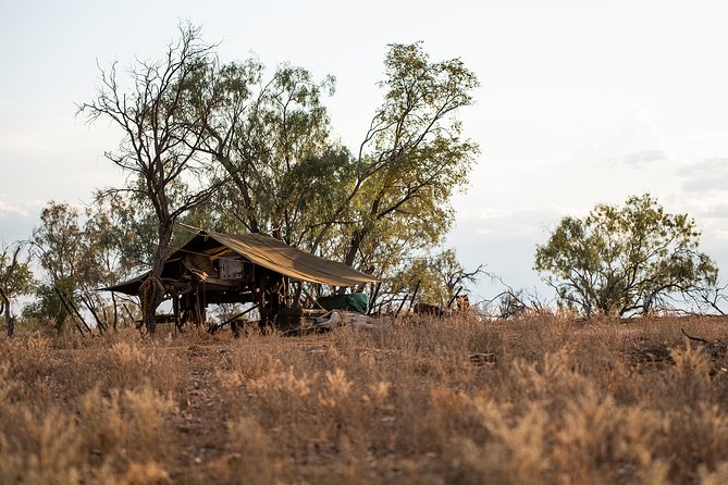 Nogo Station Experience - Open-top double-decker outback safari: spotting wildlife the smart way